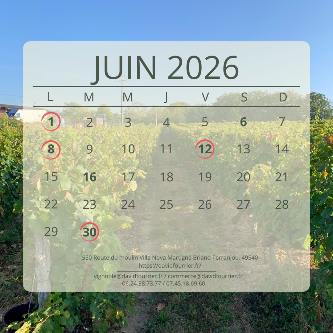 DATES IMPORTANTES DE JUIN 2026